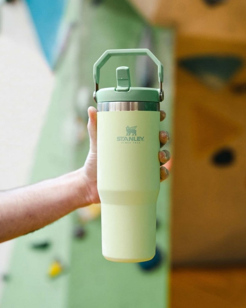 Stanley IceFlow Flip Straw Pista Green Tumbler