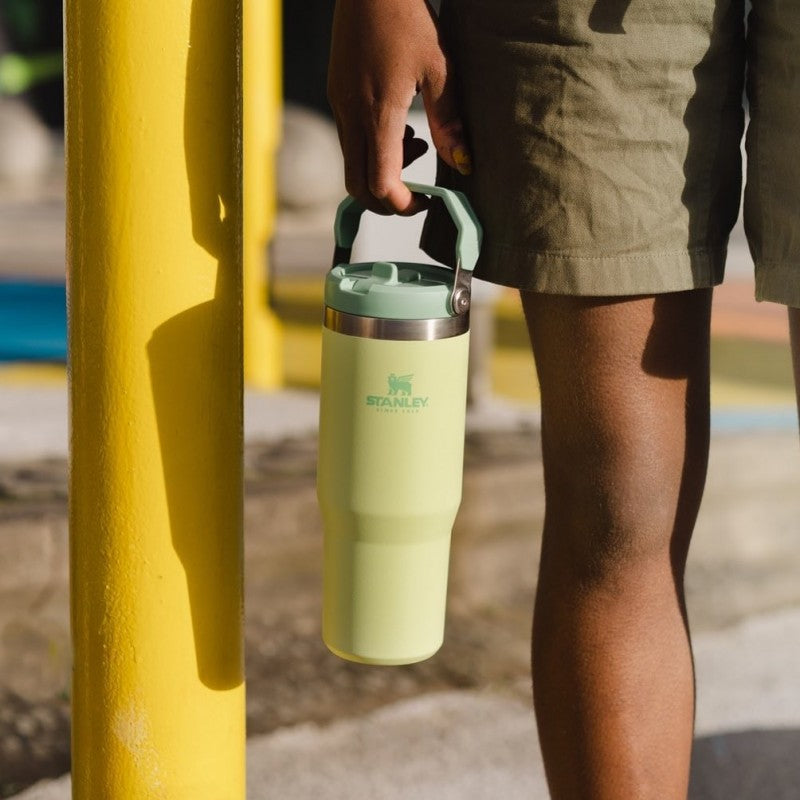 Stanley IceFlow Flip Straw Pista Green Tumbler