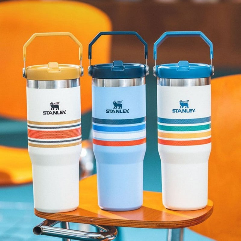 Stanley IceFlow Flip Straw Strips T