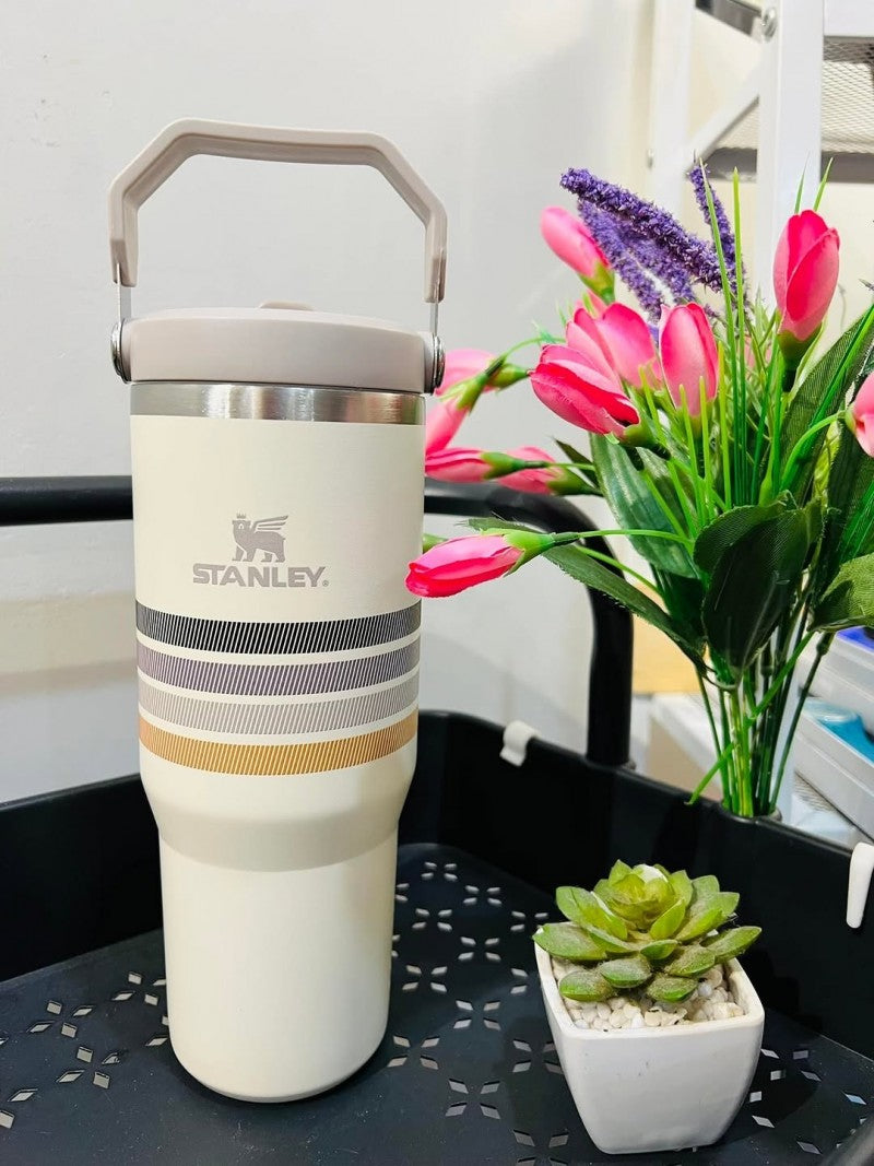 Stanley IceFlow Flip Straw Strips T
