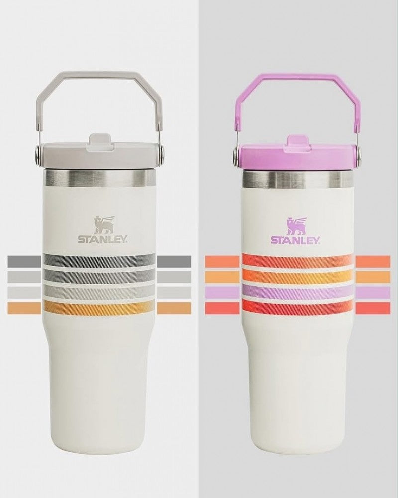 Stanley IceFlow Flip Straw Strips T