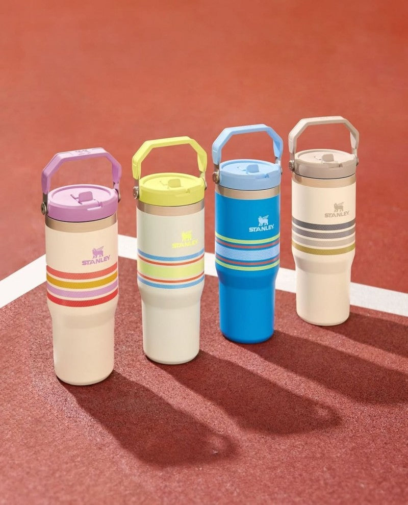 Stanley IceFlow Flip Straw Strips T