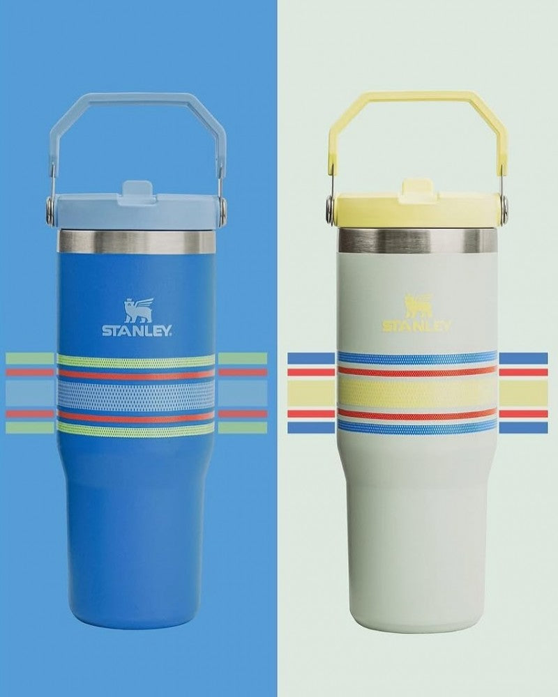 Stanley IceFlow Flip Straw Strips T