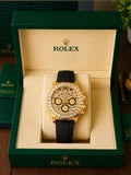 Rolex Tiger