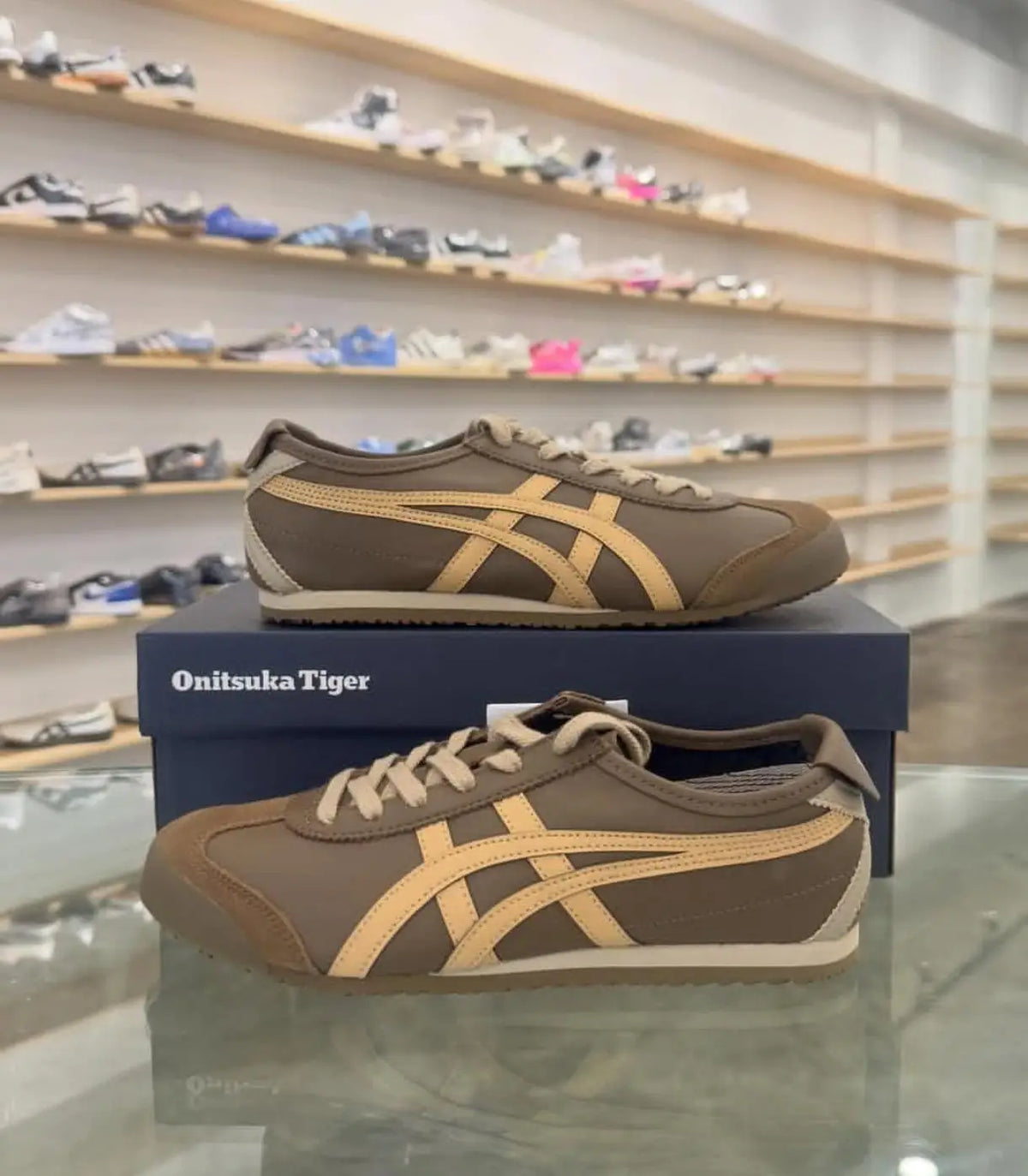 Onitsuka Tiger Mexico 66 Clay Canyon Paper Bag 7A Premium Mens Sneakers D-2108
