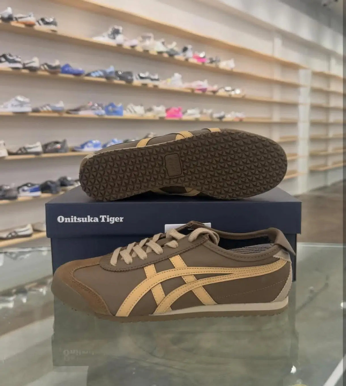 Onitsuka Tiger Mexico 66 Clay Canyon Paper Bag 7A Premium Mens Sneakers D-2108