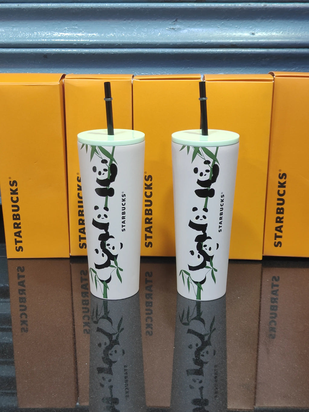 Starbucks panda and bamboo design Tumbler
