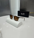 RayBan All Brown Metal Polarized Premium Shades 2602